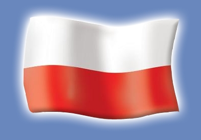 logo_flaga_polska.JPG